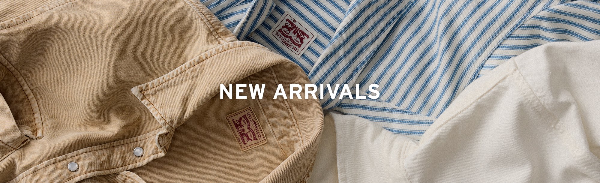 new arrivals